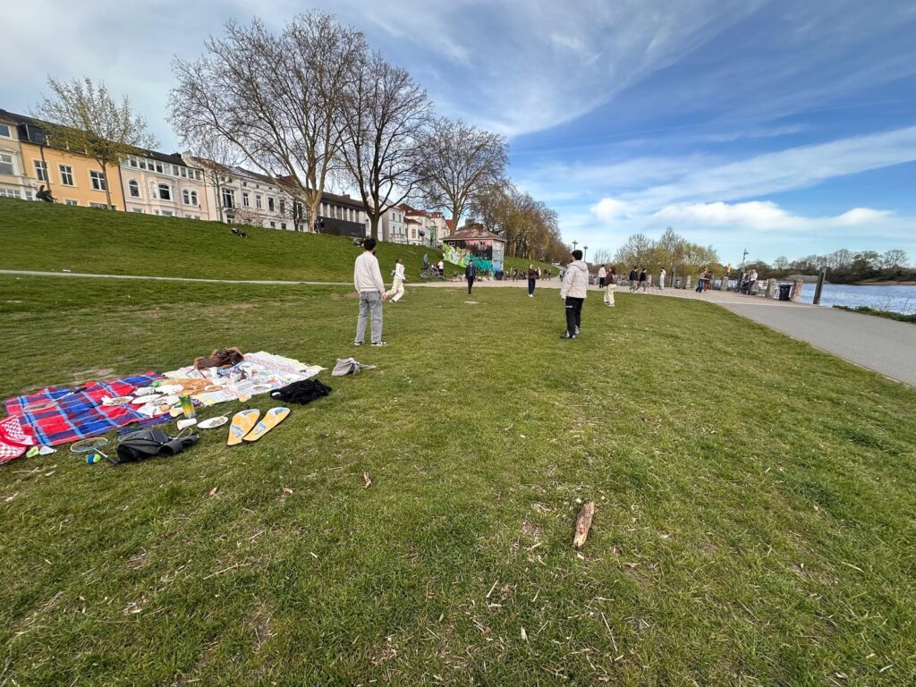 Aktivitäten beim Picknick